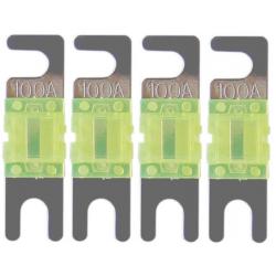 ACV Mini ANL Zekering 100 AMP (4 Stuks)
