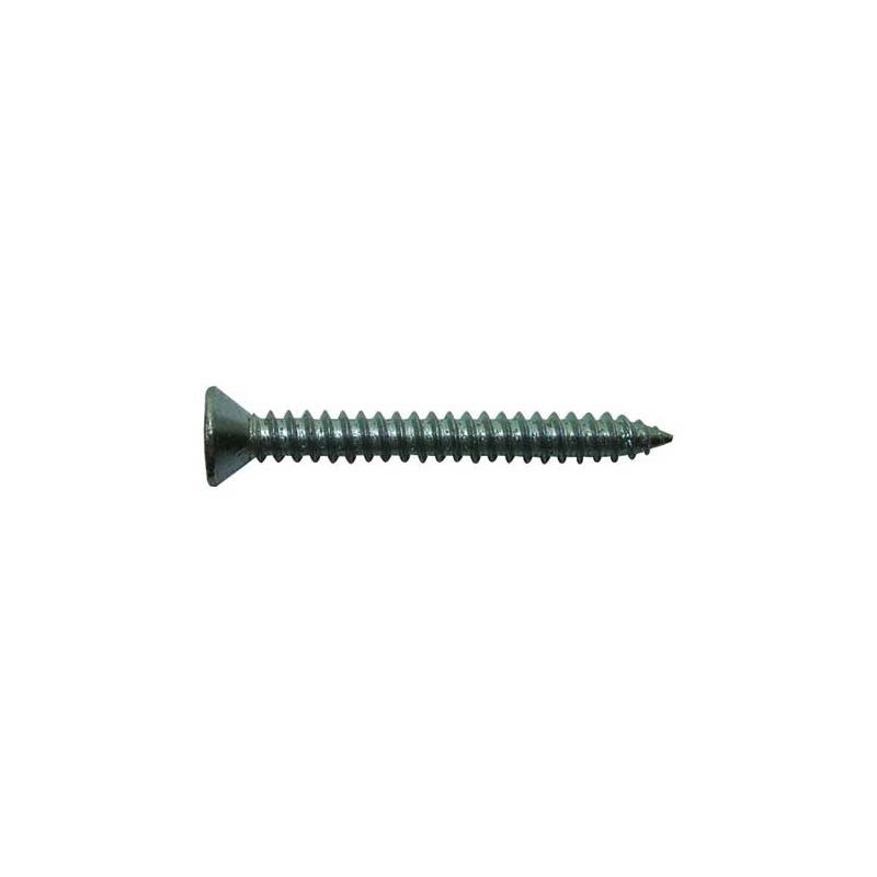 TCP Plaatschroef met een Verzonkenkop 4.8X25 TCP Plaatschroef met een Verzonkenkop 4.8X25