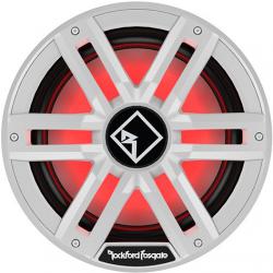 Rockford Fosgate M2D4-12I