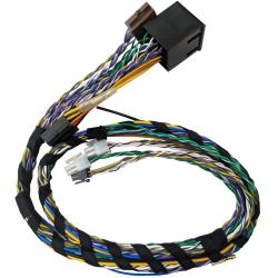 Phoenix Gold ZXMPT1