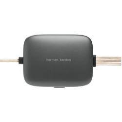 Harman/Kardon Flow 600CF