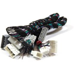 MUSWAY MPK-BYD1M12