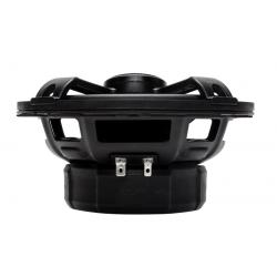 Rockford Fosgate T1650