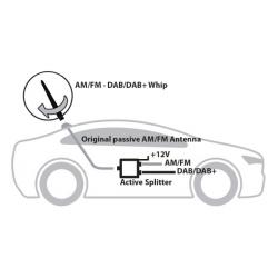 Calearo Actieve Signaalsplitter (PRO)