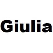 Alfa Romeo Giulia (Model 952) (Bouwjaar 2016 -) | MB Car Audio