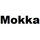 Opel Mokka / Mokka E (Bouwjaar 2021 - 2024) | MB Car Audio