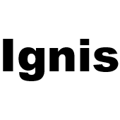 Suzuki Ignis (Model MF) (Bouwjaar 2016 - 2020) | MB Car Audio