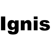 Suzuki Ignis (MF Facelift) (Bouwjaar 2020 -) | MB Car Audio