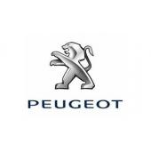 Peugeot Car Audio en Accessoires | MB Car Audio